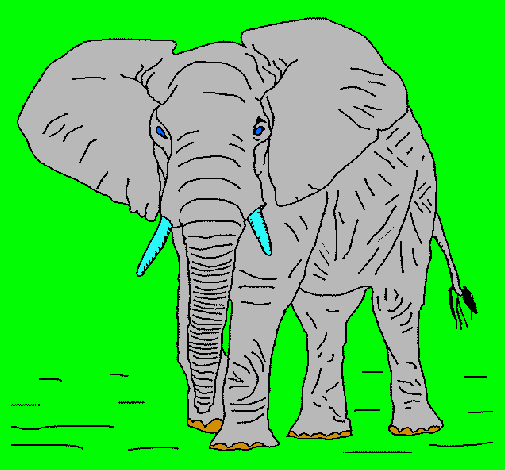 Dibujo Elefante pintado por Benjamin3