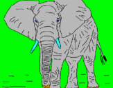 Dibujo Elefante pintado por Benjamin3