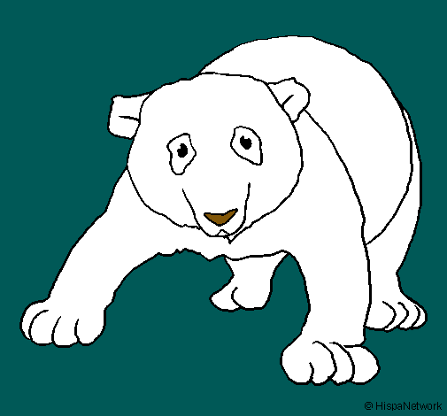 Dibujo Oso panda pintado por sandritah