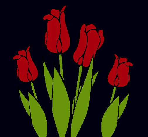 Tulipanes