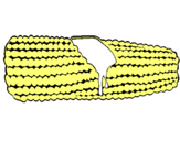Dibujo Mazorca de maíz pintado por maicito