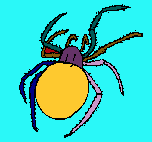 Araña venenosa