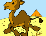 Dibujo Camello pintado por CAMELLO