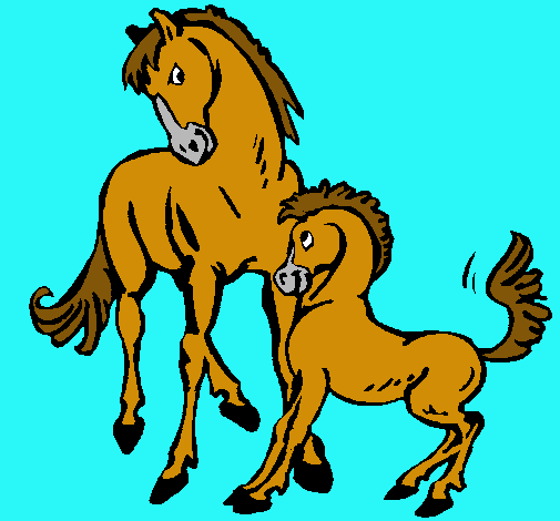 Caballos