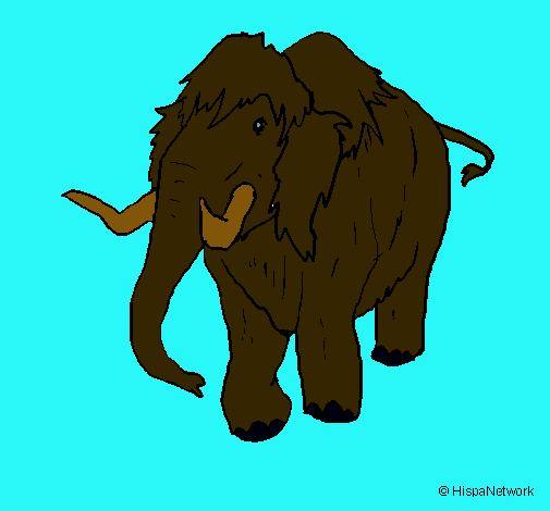 Mamut II