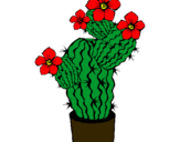 Dibujo Flores de cactus pintado por saraaaaaaaaa