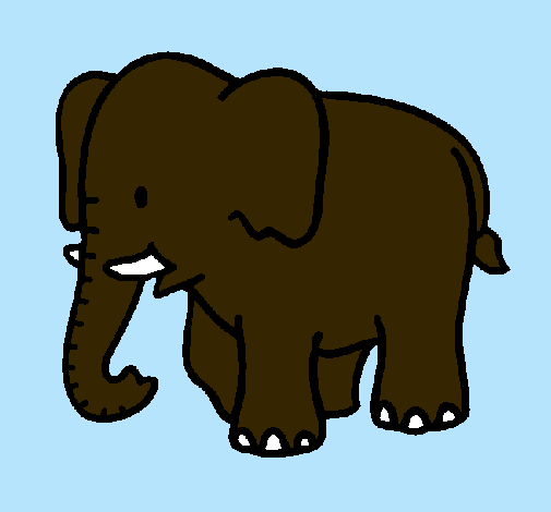 Elefante bebe