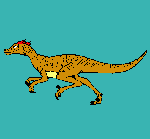 Velociraptor