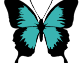 Dibujo Mariposa con alas negras pintado por kailani