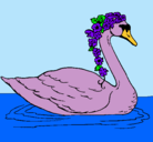 Dibujo Cisne con flores pintado por cuca101