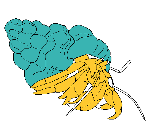Cangrejo ermitaño