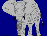 Dibujo Elefante pintado por ssssssssssss