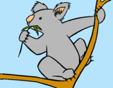 Dibujo Koala pintado por catalinali