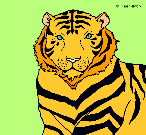 Dibujo Tigre pintado por catalinali