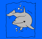 Dibujo Delfín pintado por angelnicol