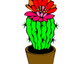 Dibujo Cactus con flor pintado por jeniandre