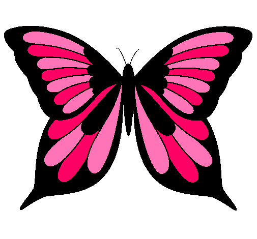 Mariposa