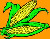 Dibujo Mazorca de maíz pintado por cacahuate