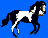 Dibujo Caballo 5 pintado por caballon