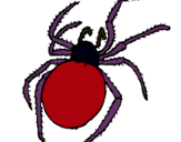 Dibujo Araña venenosa pintado por raul