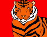 Dibujo Tigre pintado por tory