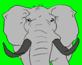 Dibujo Elefante africano pintado por AGUILAS