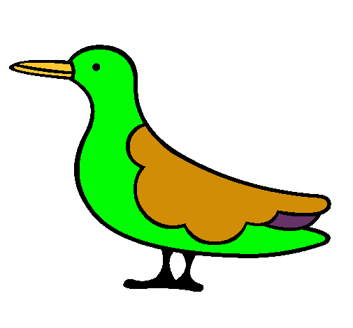 Dibujo Pájaro 3 pintado por urielzaid