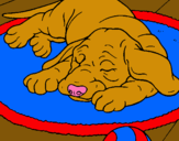 Dibujo Perro durmiendo pintado por catalinali