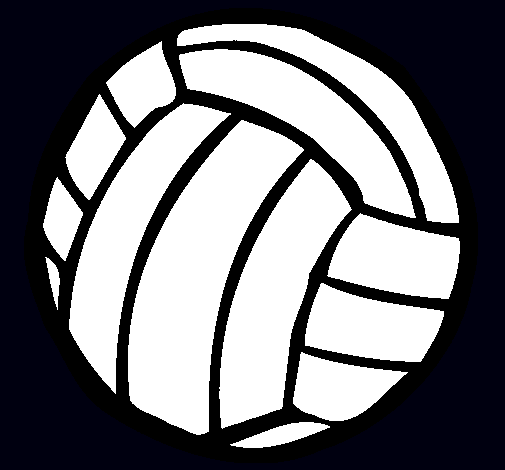 Pelota de voleibol