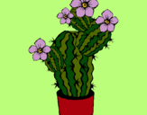 Dibujo Flores de cactus pintado por captusahasim