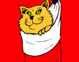 Dibujo Gato dentro de una calcetín pintado por 060744