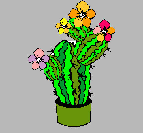 Flores de cactus