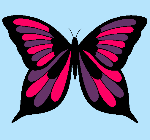 Mariposa