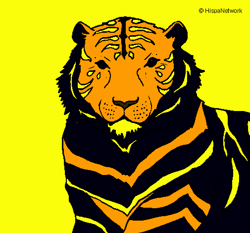 Dibujo Tigre pintado por melosa