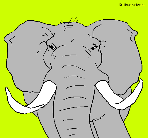 Dibujo Elefante africano pintado por catalinali