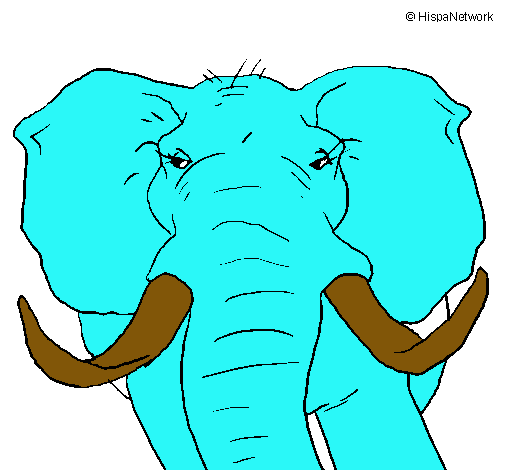 Dibujo Elefante africano pintado por urielzaid