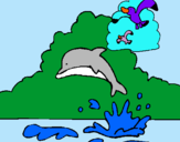 Dibujo Delfín y gaviota pintado por jhonnyesteba