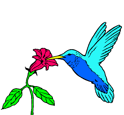 Colibrí y una flor