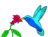 Dibujo Colibrí y una flor pintado por colibri