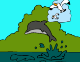 Dibujo Delfín y gaviota pintado por dfghftyhjk