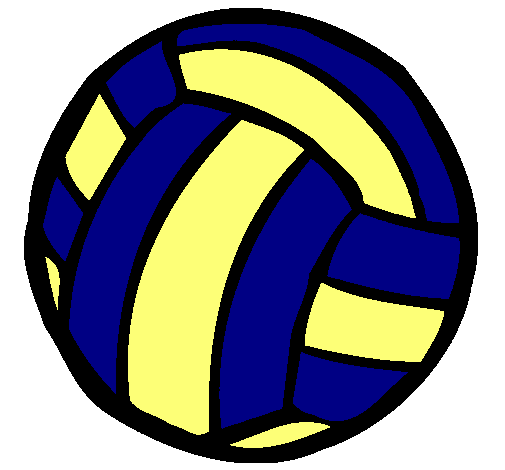 Pelota de voleibol