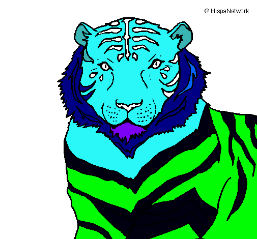 Tigre