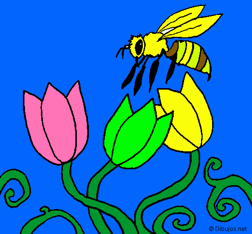 Abeja