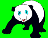 Dibujo Oso panda pintado por chesed