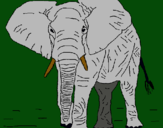 Dibujo Elefante pintado por RERER