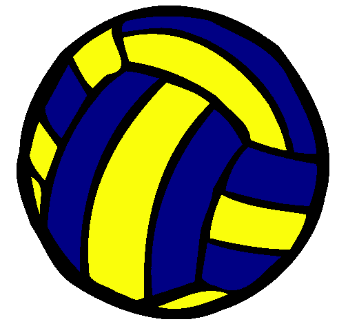 Pelota de voleibol