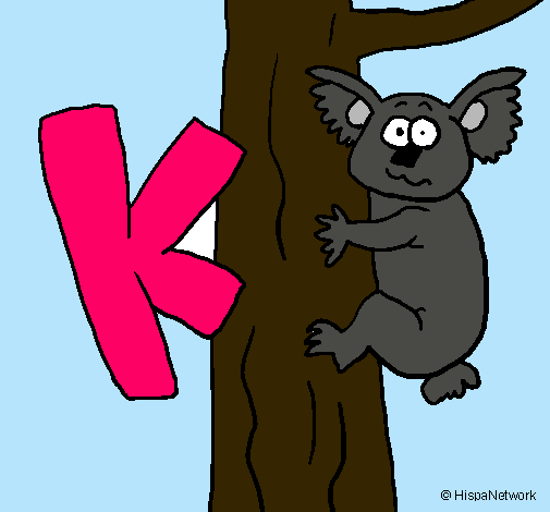 Koala