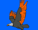 Dibujo Águila volando pintado por Yoelini