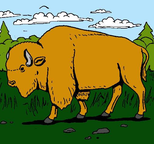Dibujo Búfalo  pintado por catalinali