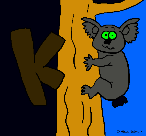 Koala